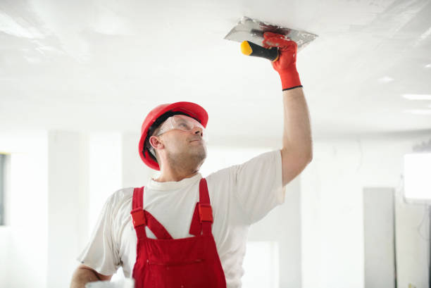 Best Mold Odor Removal Services  in Oak Ridge, NC